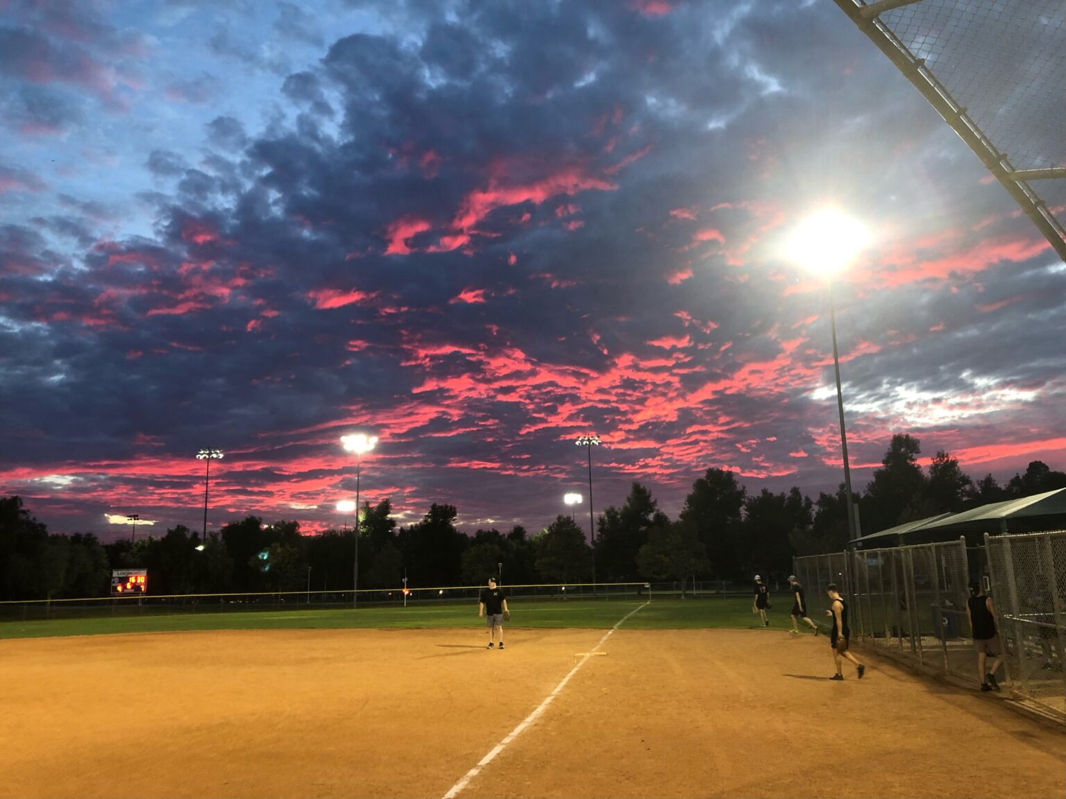 Softball Adult Sports