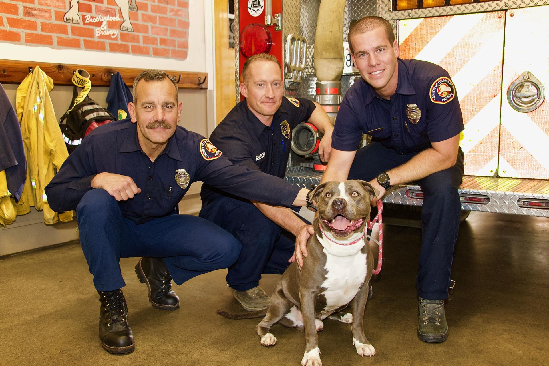 firefighters_puppies_2019_16
