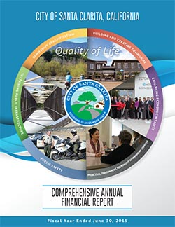 Annual Financial Report 14-15