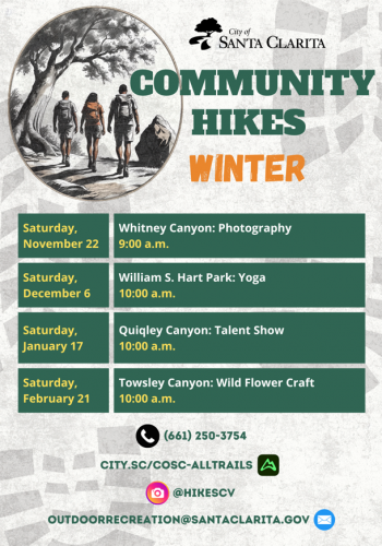 Screenshot 2025-11-13 175458