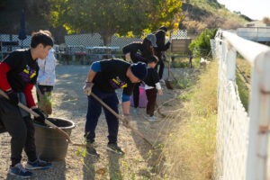 Volunteers beautifying environment