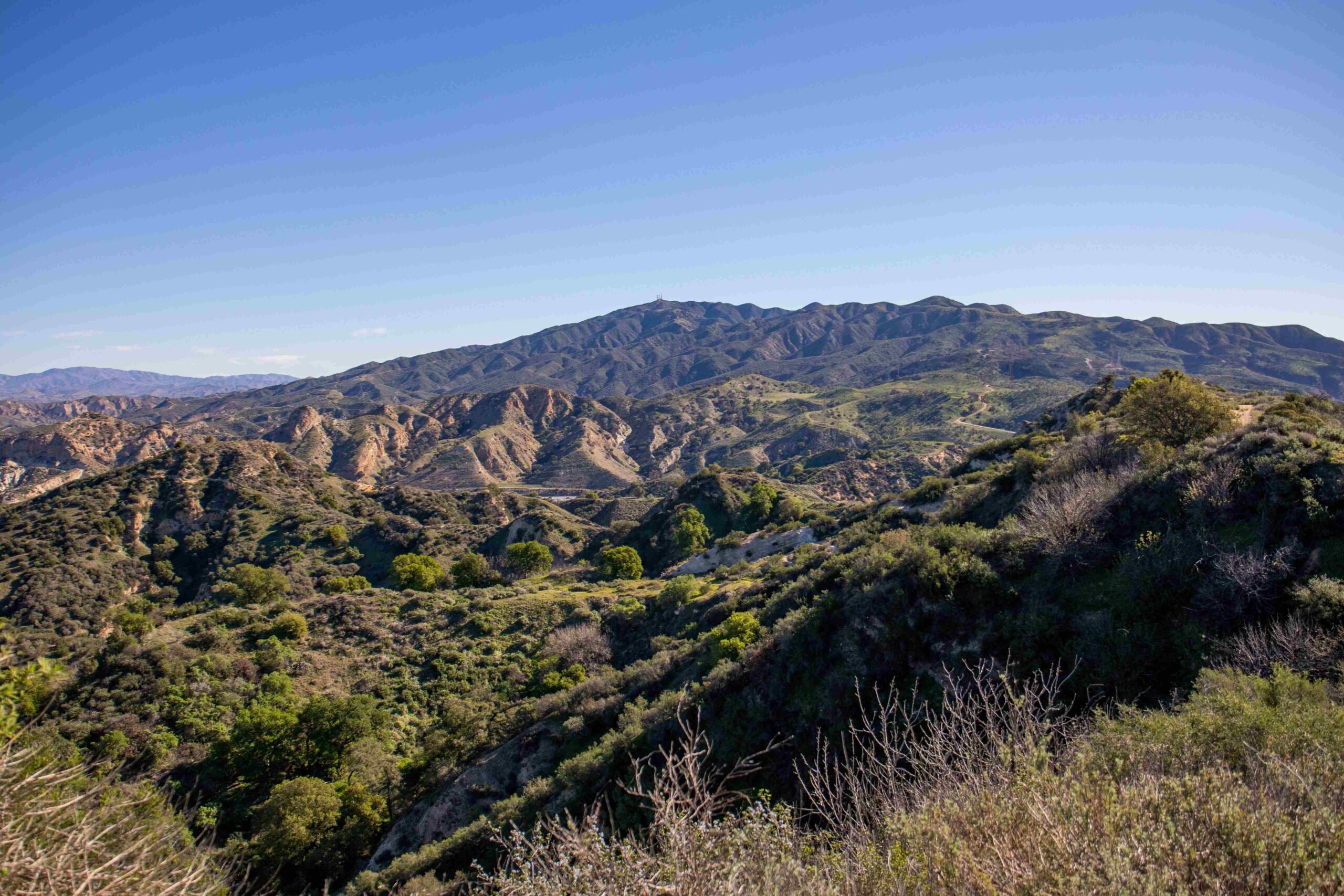 Photo of rolling green and brown hills of the Newhall Pass Open Space