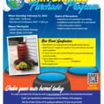 Rain Barrel Informational Flyer