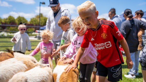 Kids Petting Goats