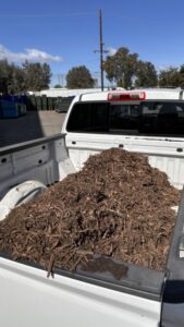 Photo of truck bed filled with compost