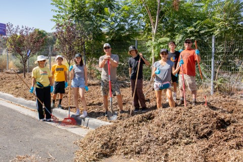 Volunteers spreading mulch