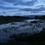 Painting of a trail at dusk with blues and blacks