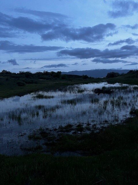 Painting of a trail at dusk with blues and blacks