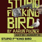Flyer for Stupid F**king Bird