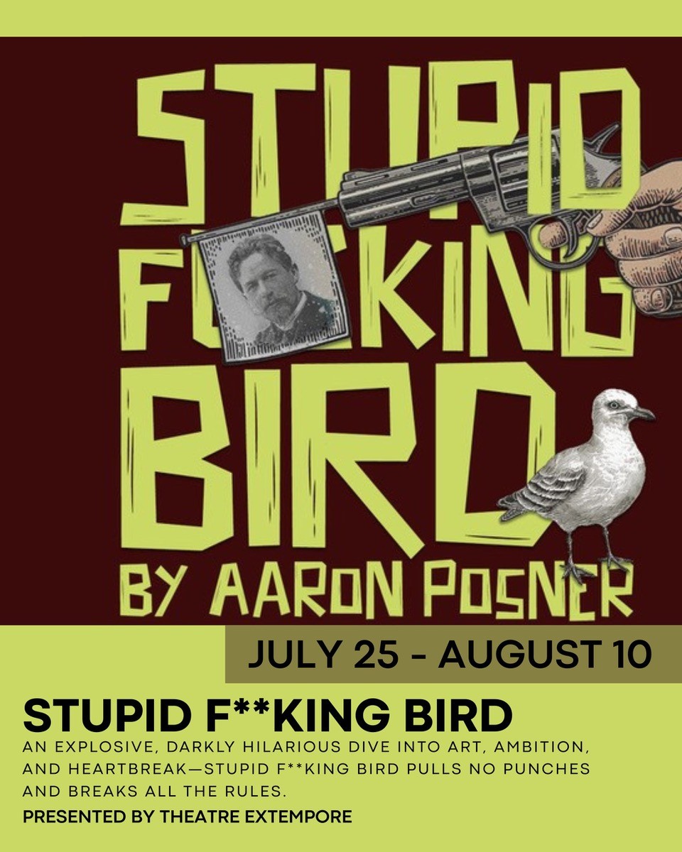 Flyer for Stupid F**king Bird