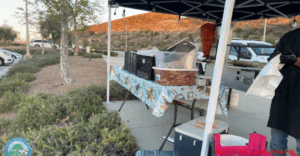 Photo of illegal vendor