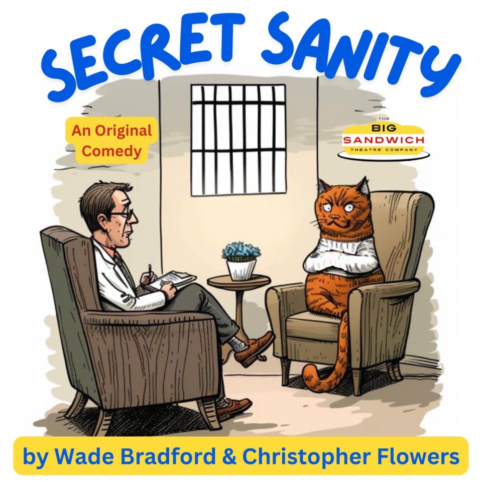 Secret Sanity Flyer