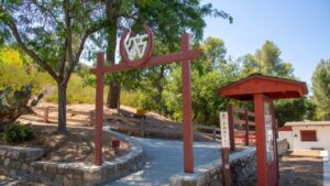 Photo of trail at Hart Park