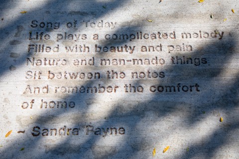 Photo of poetry etched on the sidewalk