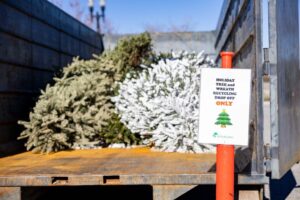 Beginning Friday, December 26 and lasting through Saturday, January 10, 2026, Santa Clarita residents are encouraged to drop off their trees at any of the following locations: Central Park - 27150 Bouquet Canyon Road Newhall Community Center - 22421 Market Street Canyon Country Community Center - 18410 Sierra Highway. For questions regarding the Holiday Tree Recycling Program, please contact Burrtec Waste Industries at (661) 222-2249 or email the City of Santa Clarita at Environment@SantaClarita.gov.