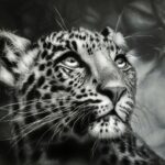 "To Heaven," black and white art piece of a leopard by Sherif Hakeem.
