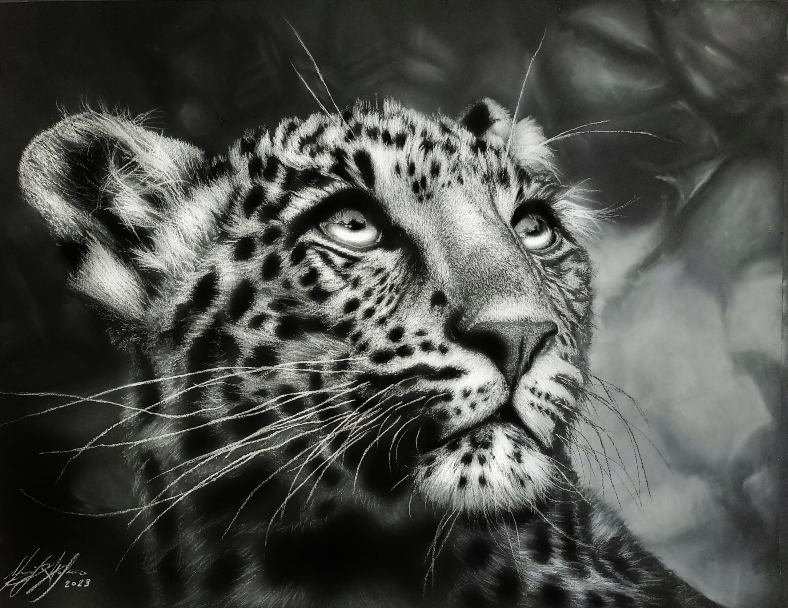 "To Heaven," black and white art piece of a leopard by Sherif Hakeem.