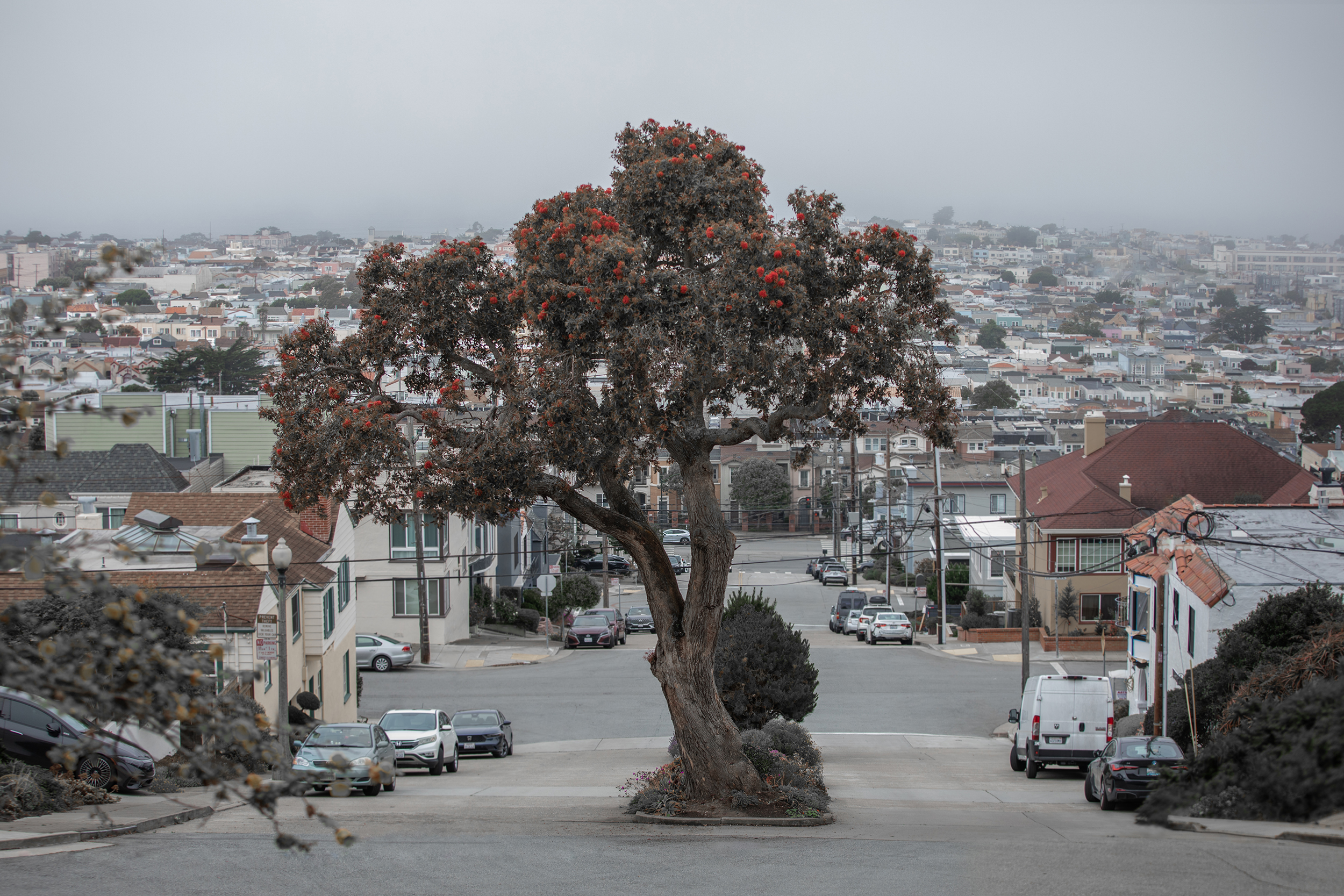 Image of tree in the middle of a two way road. The image is titled “Urban Relic” by Yuliia Savenko. To learn more about 7th Circuit and upcoming art opportunities with the City of Santa Clarita, please visit SantaClaritaArts.com or contact Garrett Fagan at ArtistCall@SantaClarita.com.